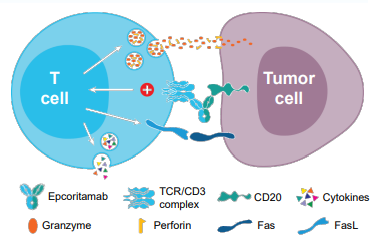 Genmab宣布提交艾可瑞妥单抗治疗复发/难治性大型B细胞淋巴瘤和弥漫性大型B细胞淋巴瘤的监管申请