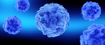 异体调节性T细胞疗法TRX103的首个研究性新药申请获FDA批准